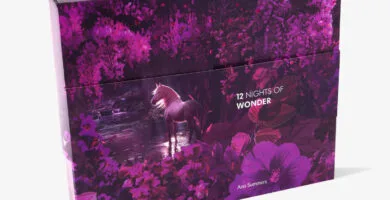 Calendario de Adviento erótico Ann Summers 2024 3 La caja violeta del Calendario de Adviento Ann Summers 2024 de 12 días