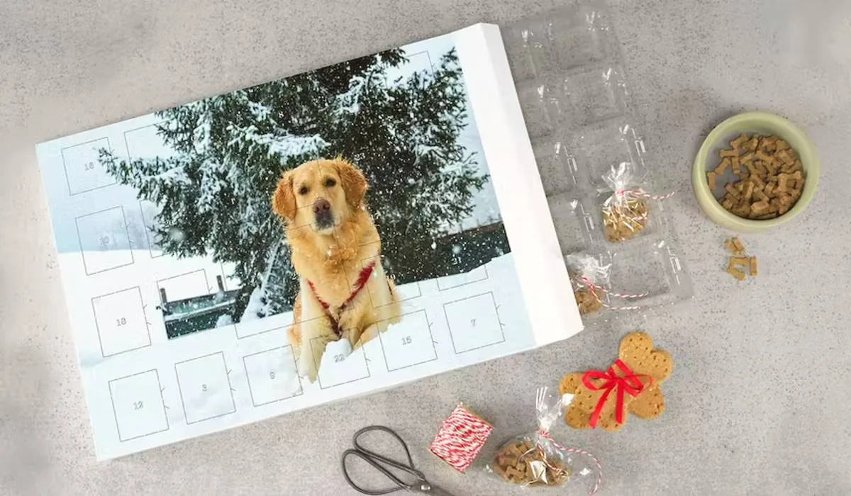 CALENDARIO ADVIENTO PERSONALIZABLE PARA PERROS
