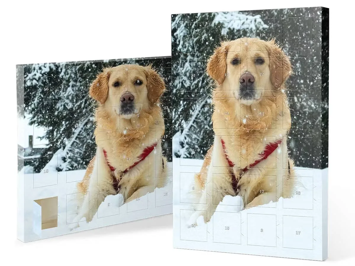 Calendario Adviento Foto de mi perro