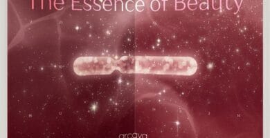 La caja abierta del Calendario de adviento Arcaya 2025