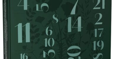 La caja verde numerada del Calendario de Adviento Lavera 2025