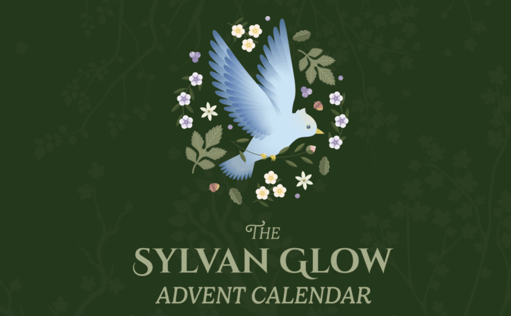 Imagen promocional del Calendario de adviento Korean Skincare 2025 "Sylvan Glow"