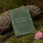 KOREAN SKINCARE 2025 CALENDAR