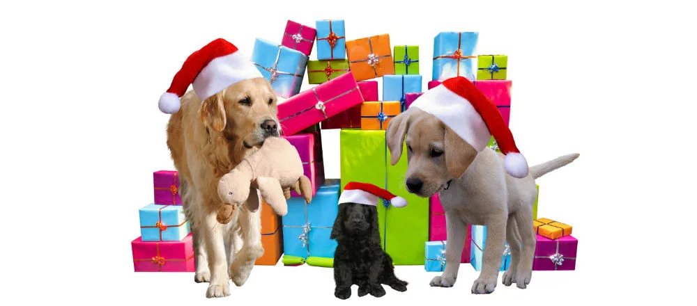 Tres perros con gorros de Papá Noel delante de un montón de cajas de regalo