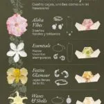 Calendario de adviento Purelei 2026 Plata